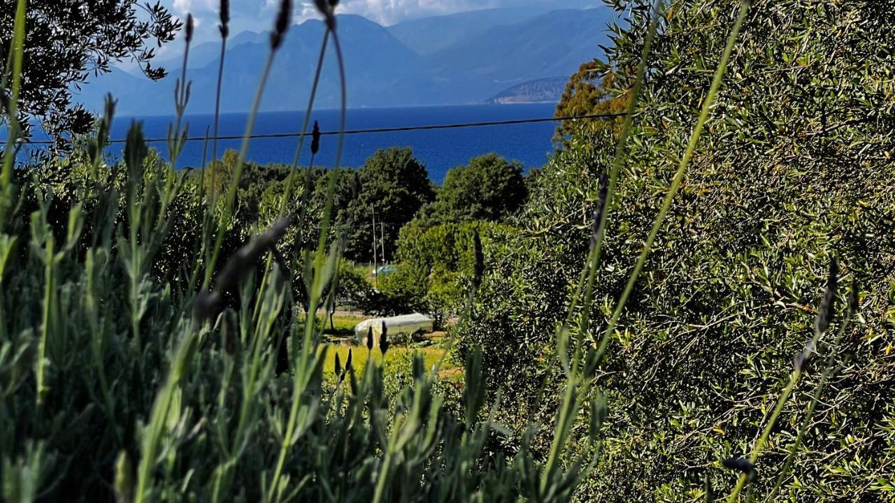 Villa Sania Kassiopi Luaran gambar